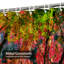 Rideau de douche Bright Autumn-708451990