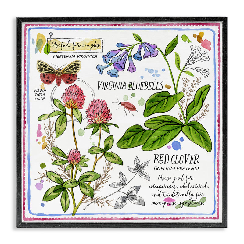 Schéma des herbes sauvages, estampe numérique encadrée par Jane Maday, H 24 po x l 24 po, Giclée encadrée noir minuit
