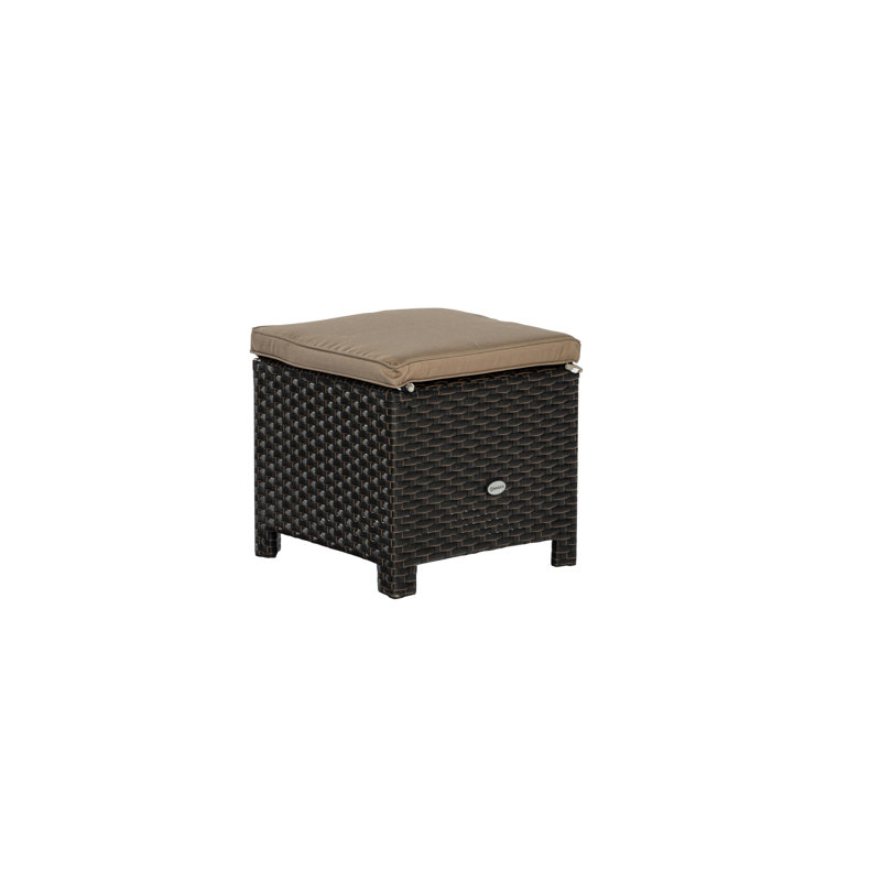 Danyaal Metal Outdoor Ottoman, Brown