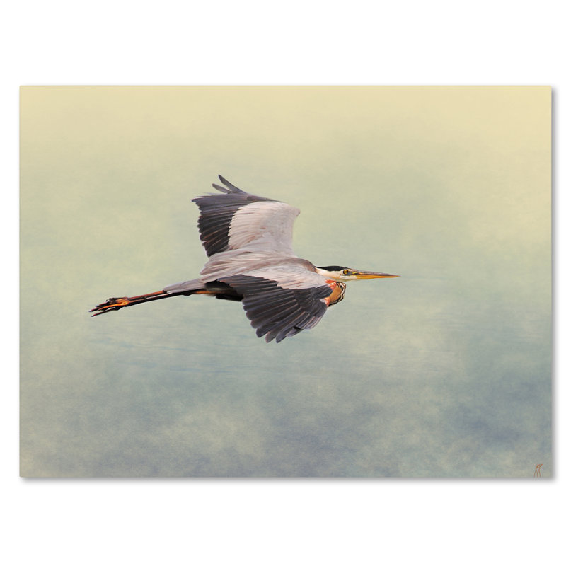«Blue Heron in Flight 1» par Vidur, impression sur toile tendue, H 14 po x l 19 po