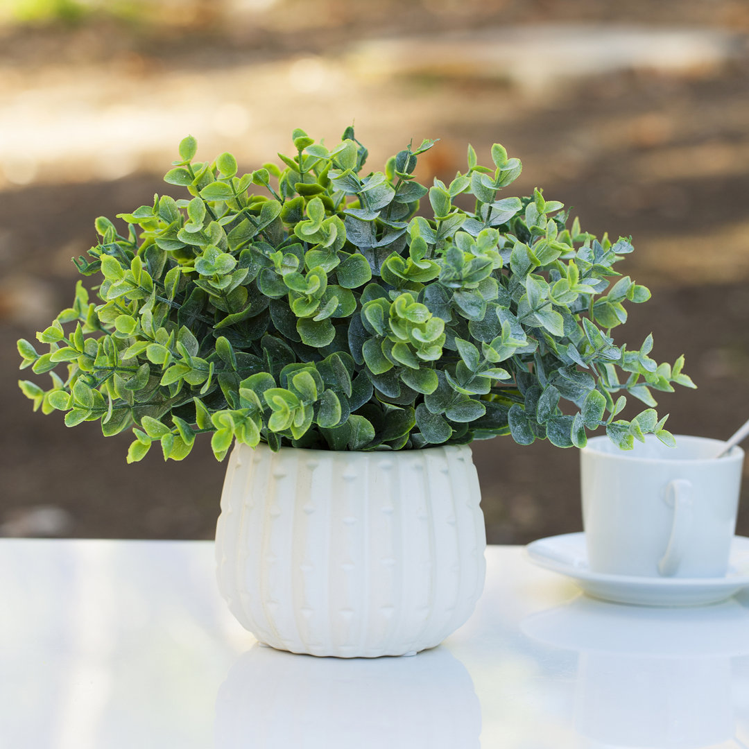 10'' Faux Eucalyptus Grass in Ceramic Pot Primrue