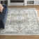 Hewson Oriental Indoor Rug