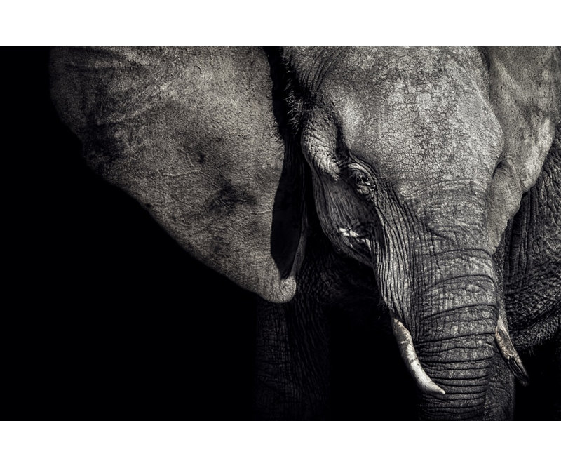 Wrapped Canvas Print, 91.44 cm H x 60.96 cm W