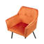 Almasi Tufted Velvet Armchair-1708024408