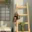 Ensemble de 3 sculptures Alleya-70367338