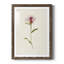 Mauve Garden Flowers VI - peinture encadrée-955008974-955008962