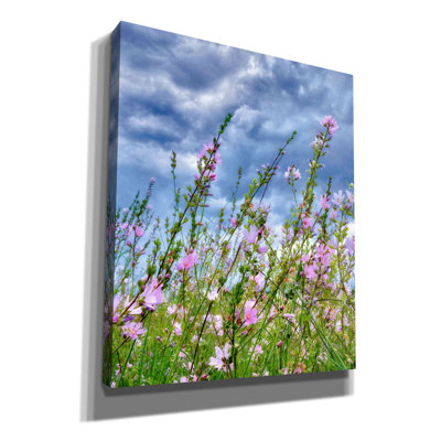 Fleurs sauvages par Dennis Frates - reproduction de photo sur toile tendue