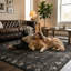 Tapis gris anthracite / noir Modern Bohemian-226054816