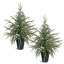 Pin artificiel 24 pouces Norfolk | Faux arbre de Noël pour la table | Petit pot à feuilles persistantes pour décor de bureau à la maison