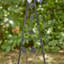 Piquet de jardin 44 "H-1302994777