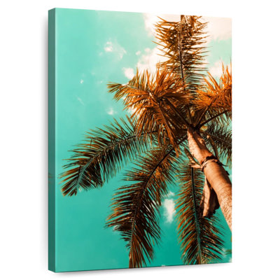 Harnek Simple Palm Tree