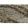 Areva Abstract Area Rug in Brown And Tan