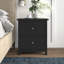Isenbert 21.9" 2 Drawer Nightstand-405856733