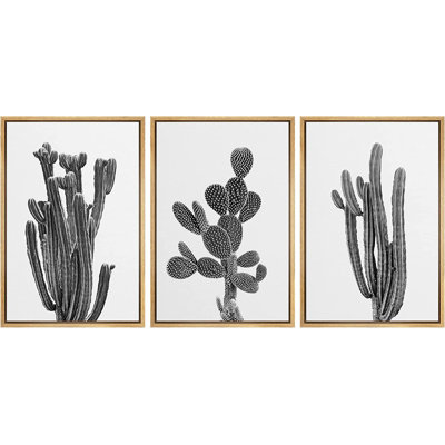 " Southwest Desert Cactus Nature Floral " 3 - Pieces