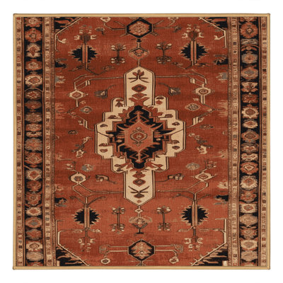 Machine Washable Persian Brown Area Rug