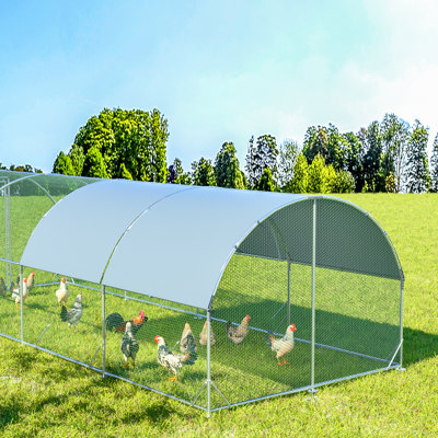 Chudleigh Walk In Chicken Run
