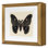 " Flutter 2 " by Todaro, Katie