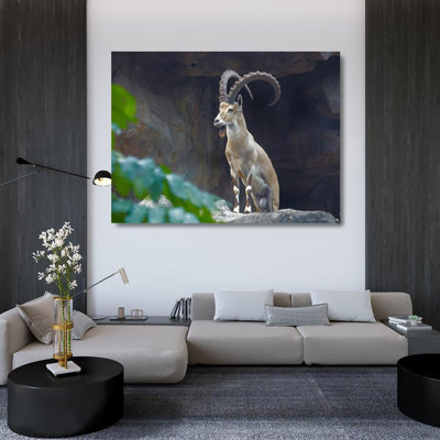Union Rustic Fitzharris, Tim Gallery Wrapped Canvas Art Titled: Nubian Ibex 58884