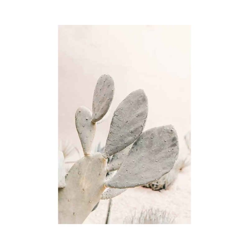 Neutral Cactus - Print on Canvas, Wrapped Canvas, 66.04cm H x 45.72cm W x 1.91cm D