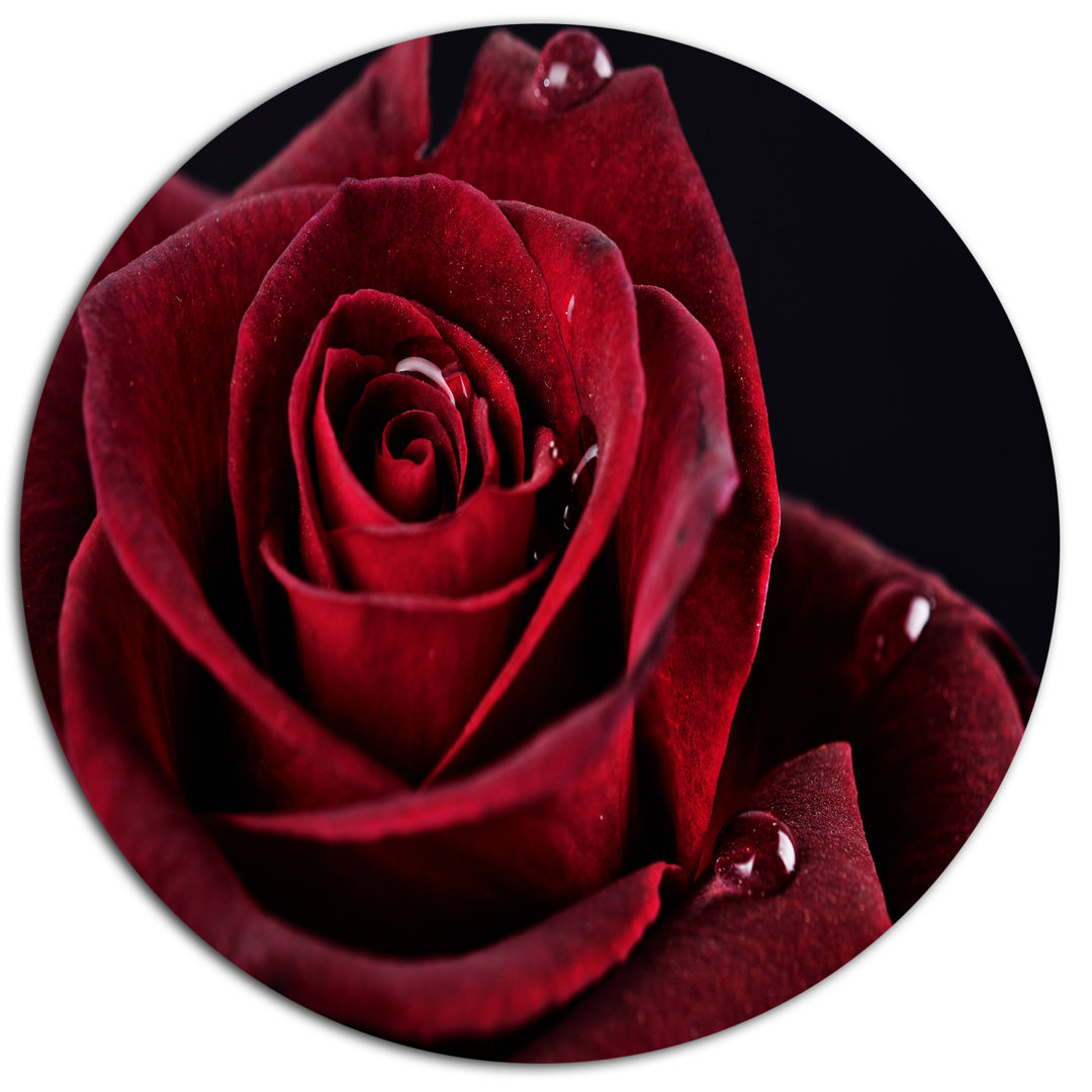 " Red Rose With Raindrops On Black " Design Art 