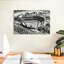 Sirci California Series - LA Dodger Stadium-107509868