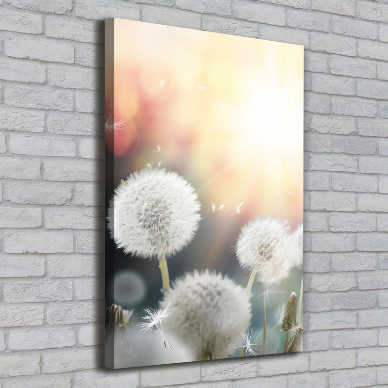 Dandelions - Wrapped Canvas Print