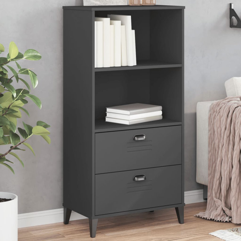 Allaya 123cm H x 60cm W Bookcase, Anthracite Grey