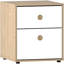 Kayshia 2 Drawer Bedside Table-2085599401