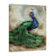 Peacock With Border II by Tre Sorelle Studios - Wrapped Canvas Painting-440486699-521034982