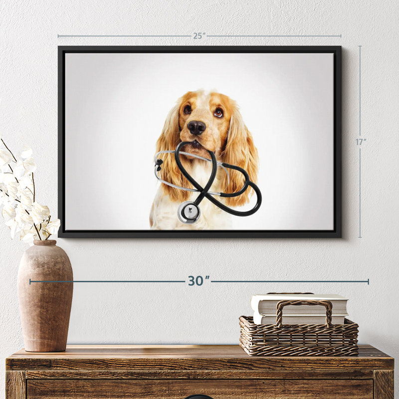 Animal «Doctor Dog», H 17 po x l 25 po