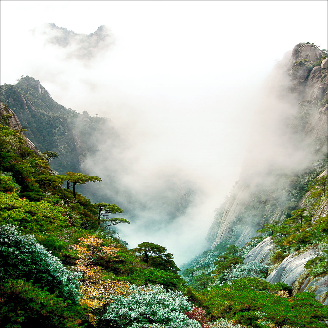 Foggy Mountain Forest I – Druck ohne Rahmen auf Floatglas