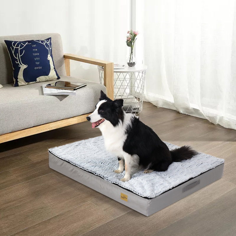 Orthopedic Polyester Pet Bed, 10cm H x 110cm W x 85cm D
