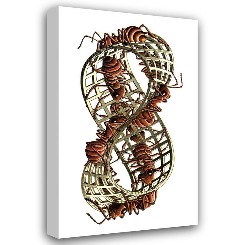 Mobius Strip II, H 18 po x l 11 po