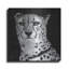 «Cheetah» par Decent Exposures, art mural en métal-1374510623