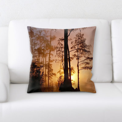 Okefenokee Swamp Square Pillow Cover & Insert