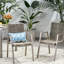 Chaises de salle à manger d'extérieur en aluminium 2 pièces avec siège en corde taupe, structure argentée, siège moderne 2, ambiance relaxante