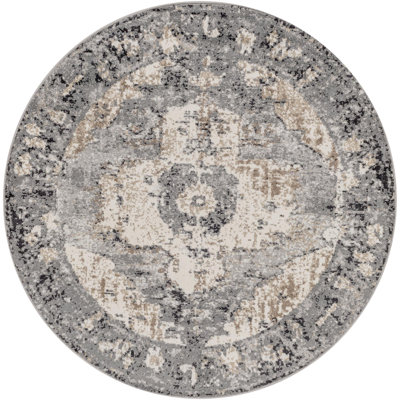 Addisyn Machine Woven Oriental Charcoal Area Rug