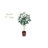 31'' Faux Olive Tree Tree in Planter