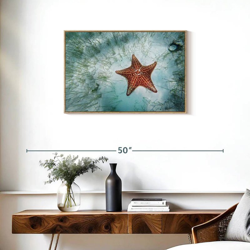 Étoile de mer peu profonde, Cadre flottant en bois naturel, 31 po x 21 po