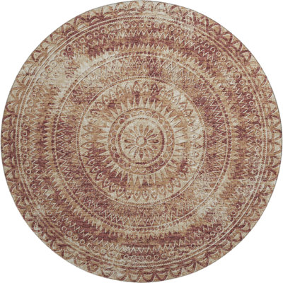 Premium Machine Washable Paullette AMF113 Rug