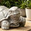 Statue tortue d'extérieur, gris foncé, sans assemblage requis