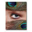 Œil et plumes de paon - Photographie sur toile-59842927-59842932