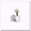 Table basse blanche avec rangement ouvert-1096995026