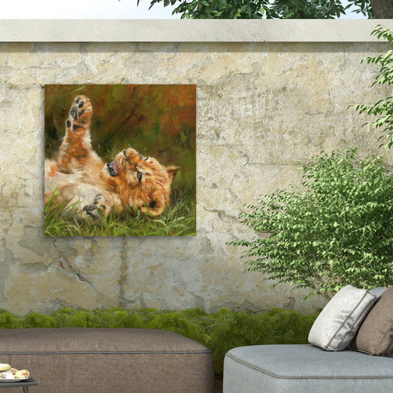 Toile d'extérieur David Stribble Lion Cub 1012, H 14 po x l 14 po