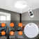 Dextin LED Flush Mount