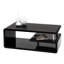 Alexa Floor Shelf Coffee Table with Storage