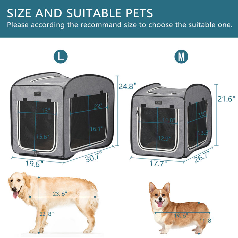 Caisse pour chien Tucker Murphy Pet ™, Mélange de gris