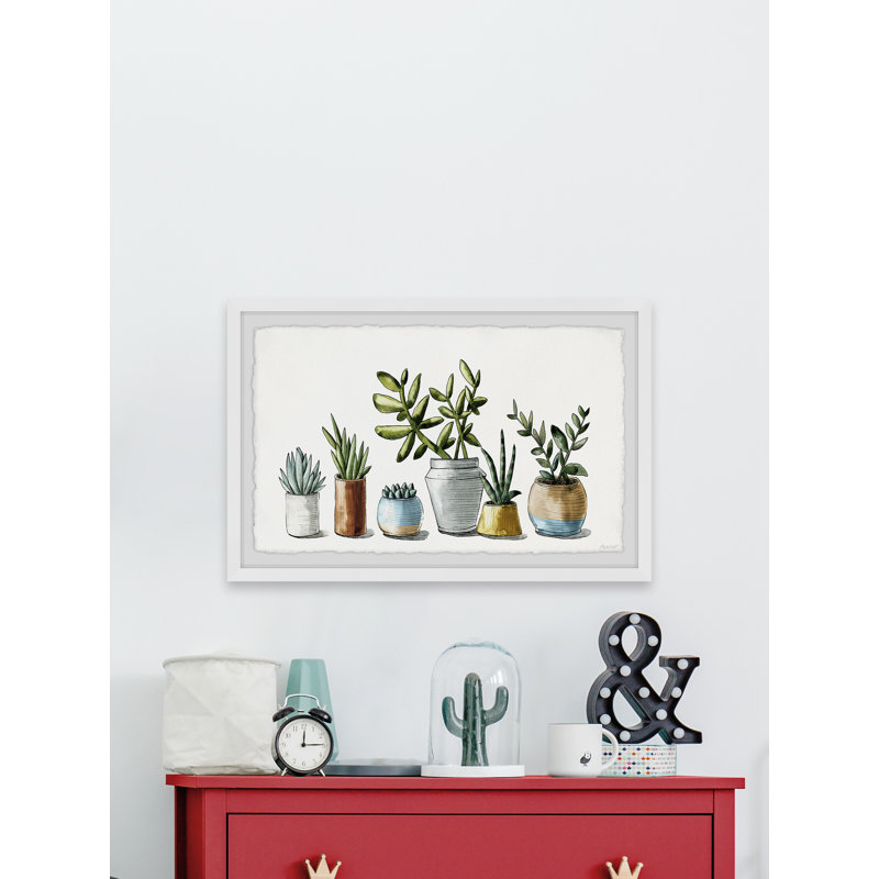 Ornamental Succulents by Marmont Hill - Single Picture Frame Painting, 38cm H x 45cm W