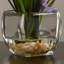 Arrangement floral vase danse Charlton