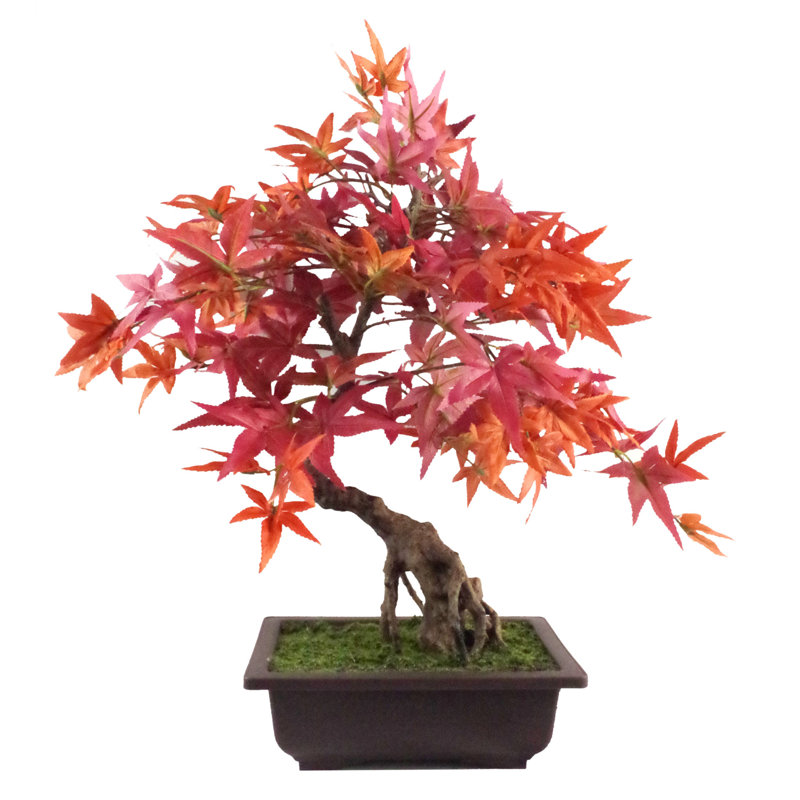 50cm Faux Bonsai Plant in Pot Liner
